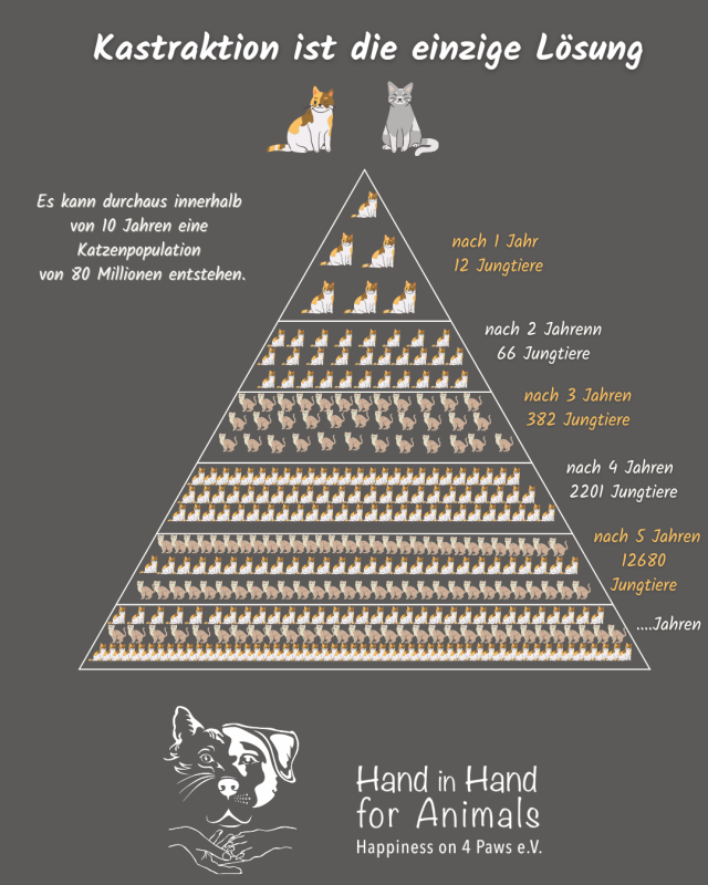 Kastration ist die einzige Lösung das Leid zu minimieren.
